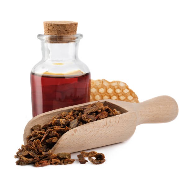 Exploring the Remarkable Healing Properties of Propolis: Nature's Hidden Gem 
